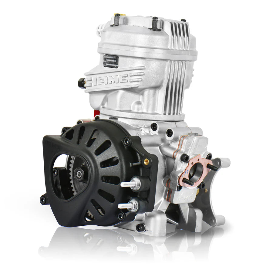 Iame X30 engine complete (4 x options)