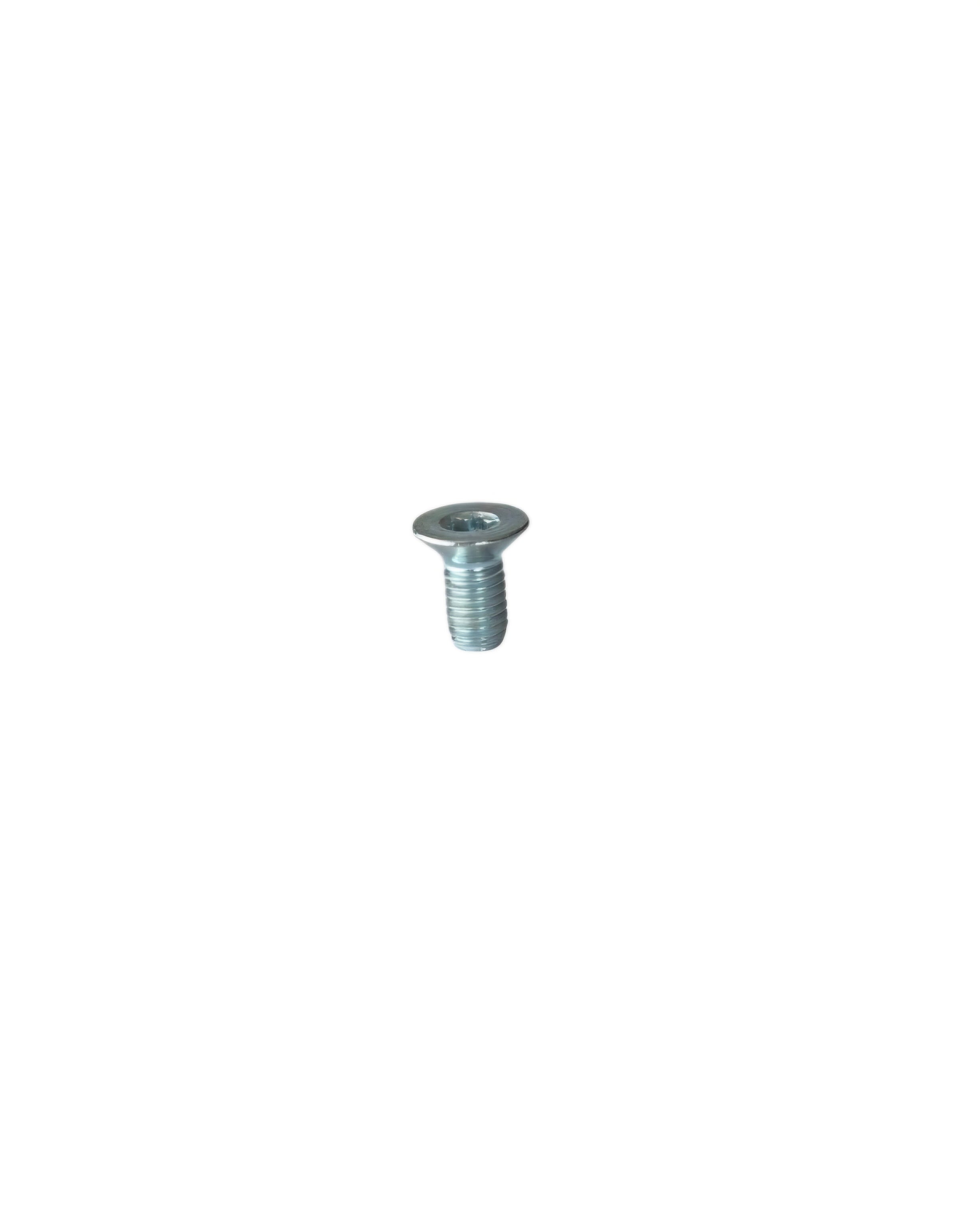 Iame Torx screw M5x10 (sprocket)