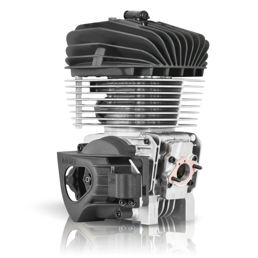 Iame KA 100 complete engine (4 x options)