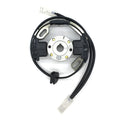 ignition stator & rotor assembly KA 100