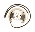Mini Rok ignition - stator and rotor